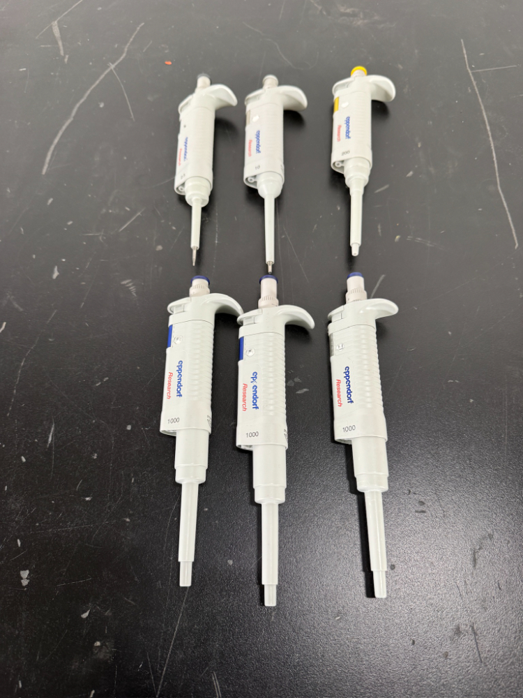 Image of Eppendorf Research Single Channel Pipettes - Quantity 6